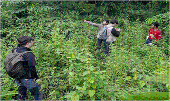 미얀마 열대우림 내 산림자원 조사