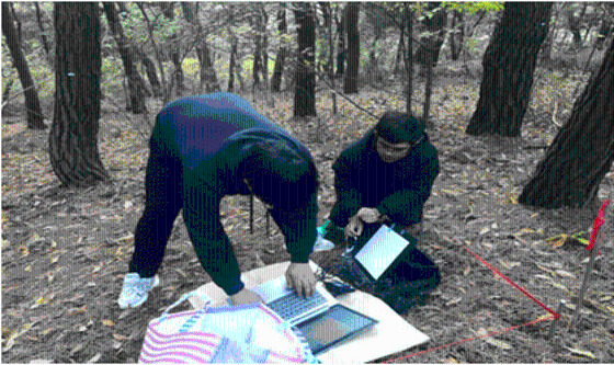 소나무 생물계절 모니터링 중 뿌리 스캔